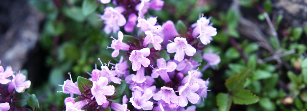 p7211093.png